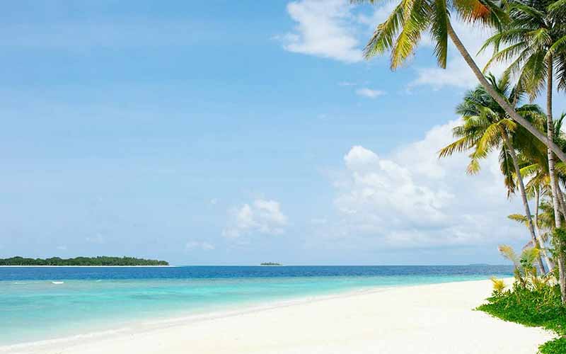 Tropical Environment with Romantic Beach at The Nautilus 