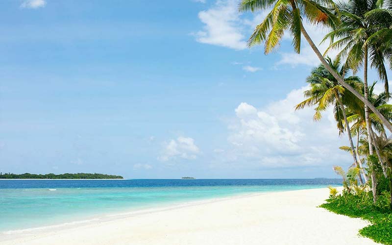 Fascinating Tropical Environment at The Nautilus Maldives 