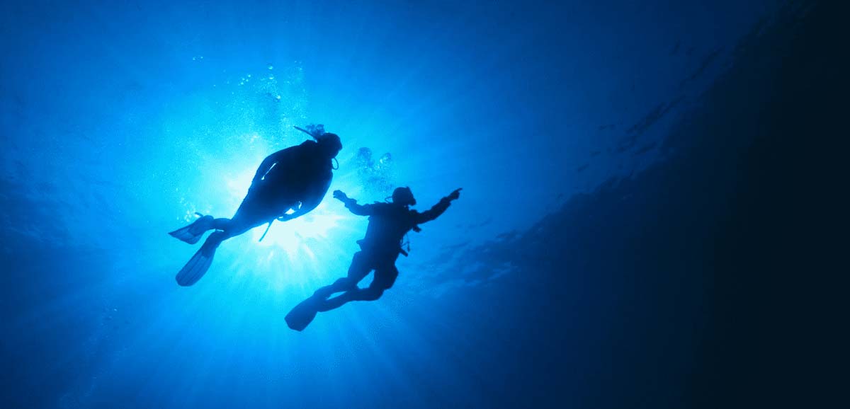 Divers exploring the vibrant marine life and coral at The Nautilus Maldives