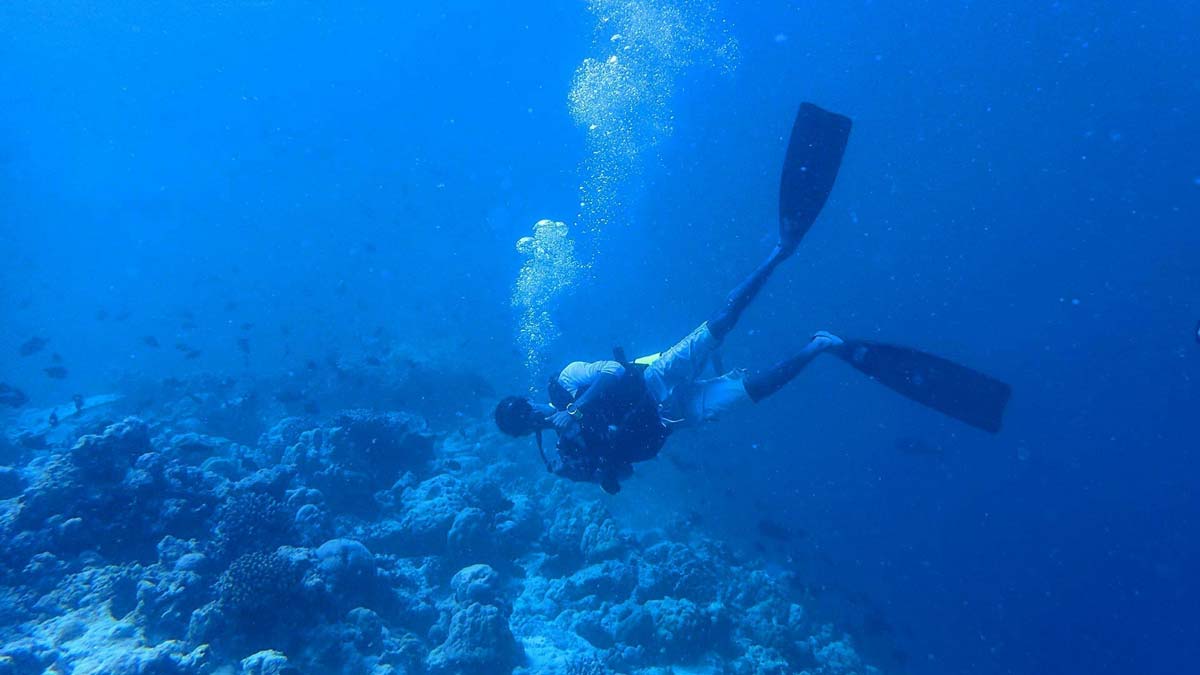 A diver exploring the vibrant marine life and coral at The Nautilus Maldives