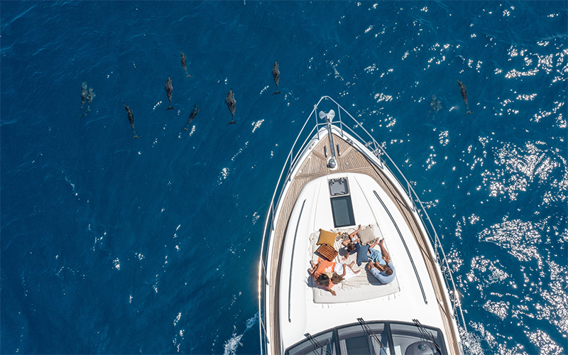 Aerial of a couple lounging on a luxury yacht with dolphins in the water surrounding them