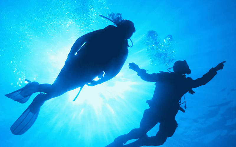 Divers exploring the vibrant marine life and coral at The Nautilus Maldives