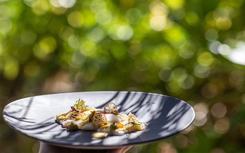 Gourmet dining at The Nautilus Maldives