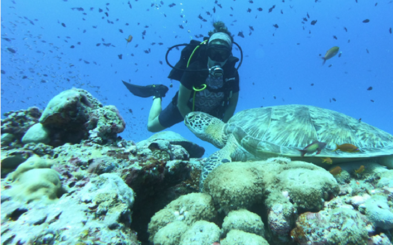 A diver with a turtle underwater