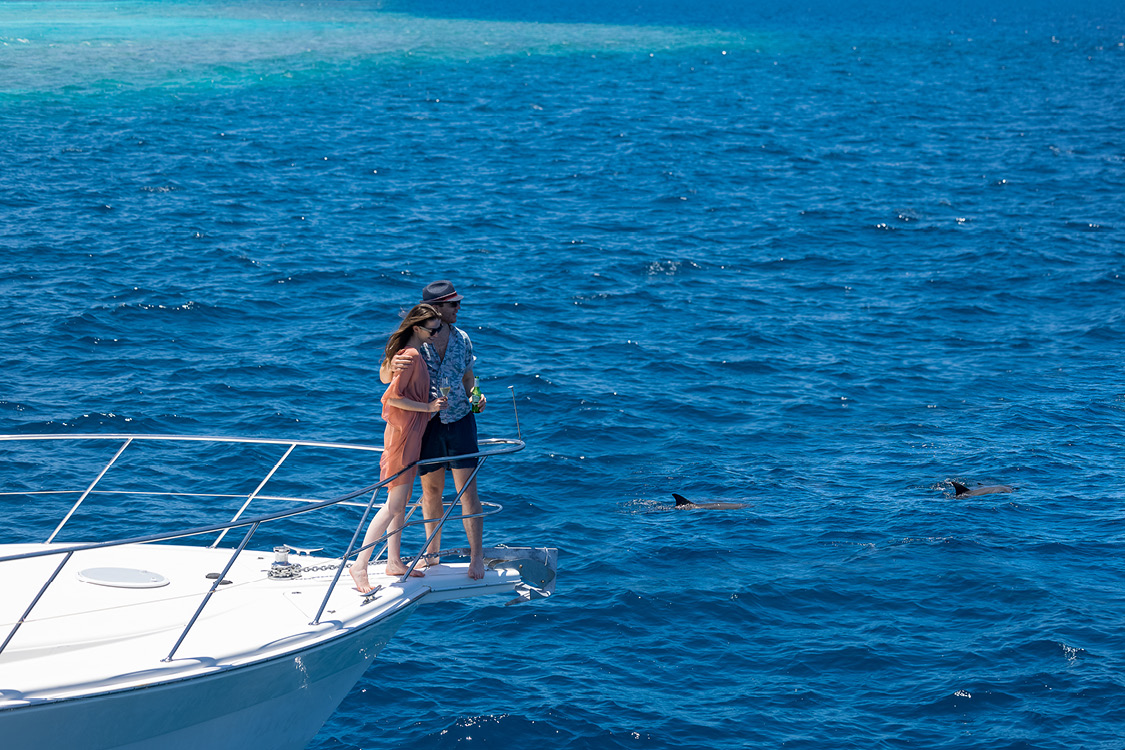 A couple on a luxury yacht watching dolphins in the water surrounding them