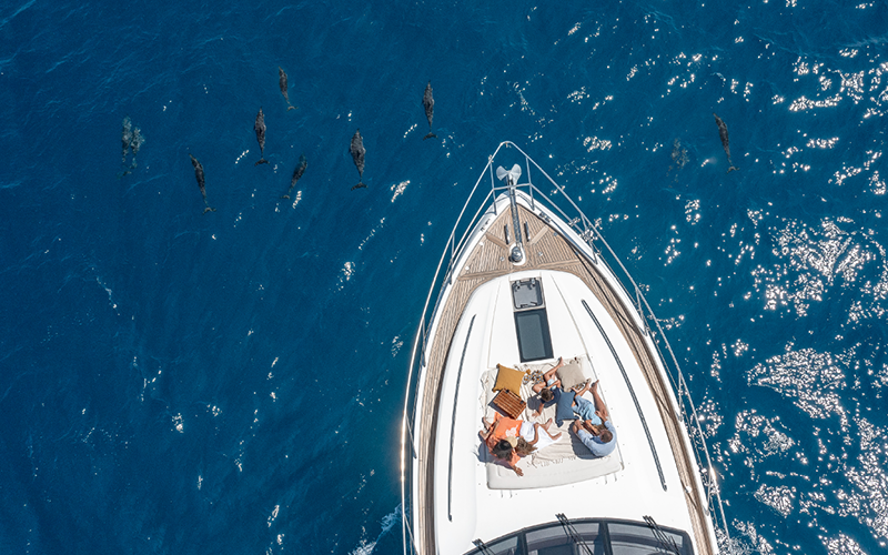 Aerial of a couple lounging on a luxury yacht with dolphins in the water surrounding them