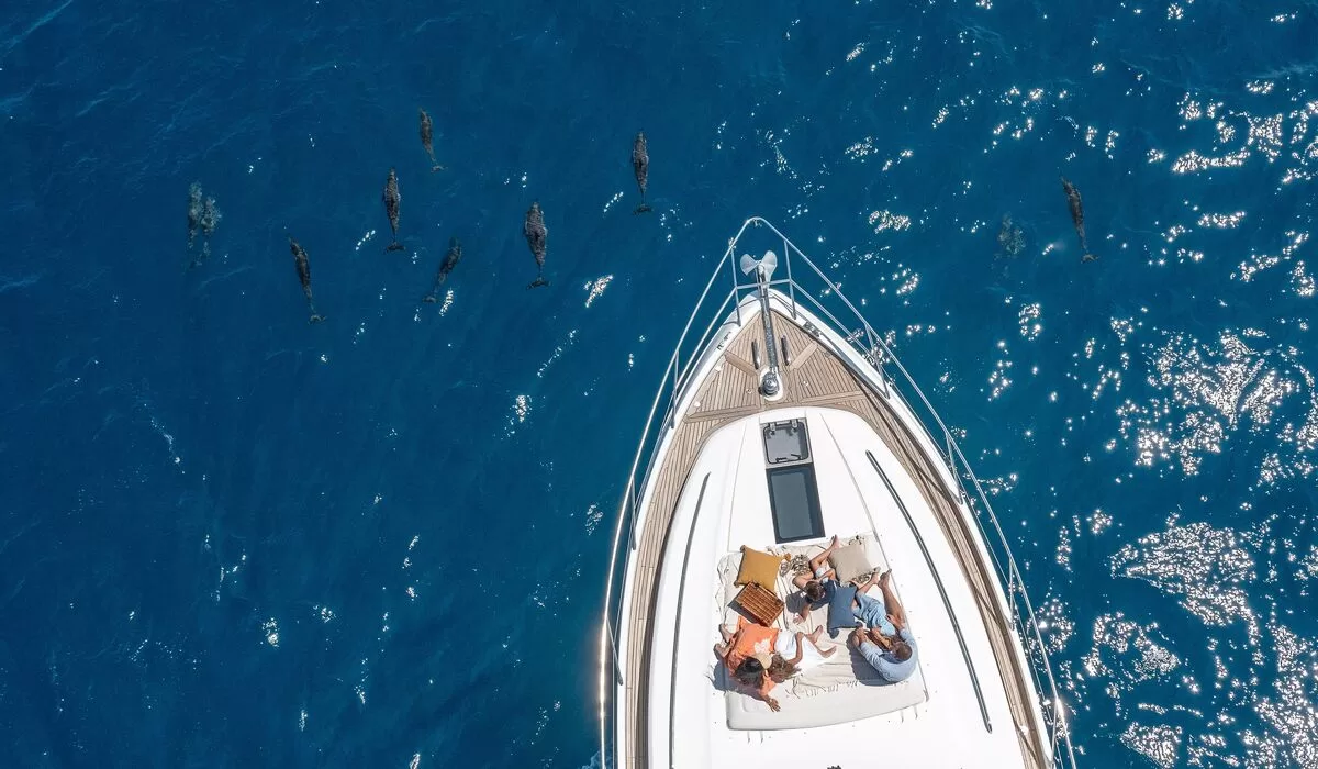 Aerial of a couple lounging on a luxury yacht with dolphins in the water surrounding them