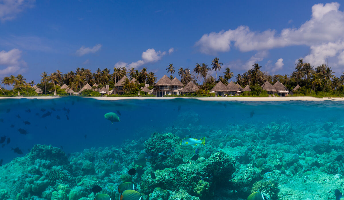 Split shot of vibrant marine life and coral and The Nautilus Maldives