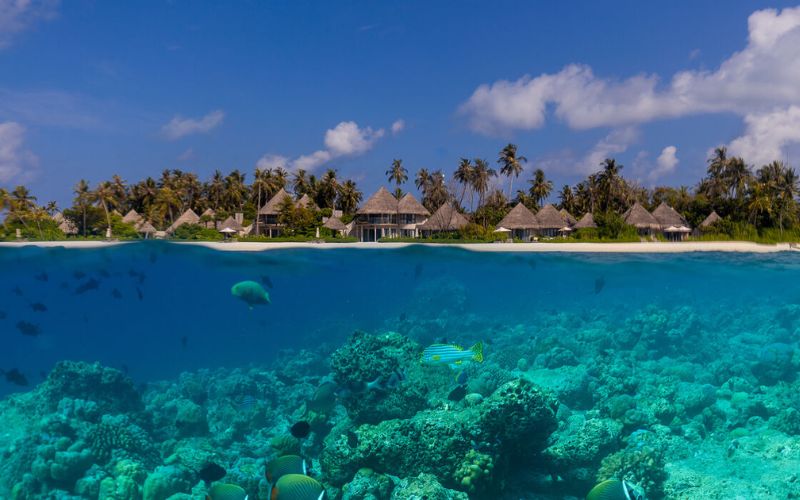 The Nautilus Maldives split shot