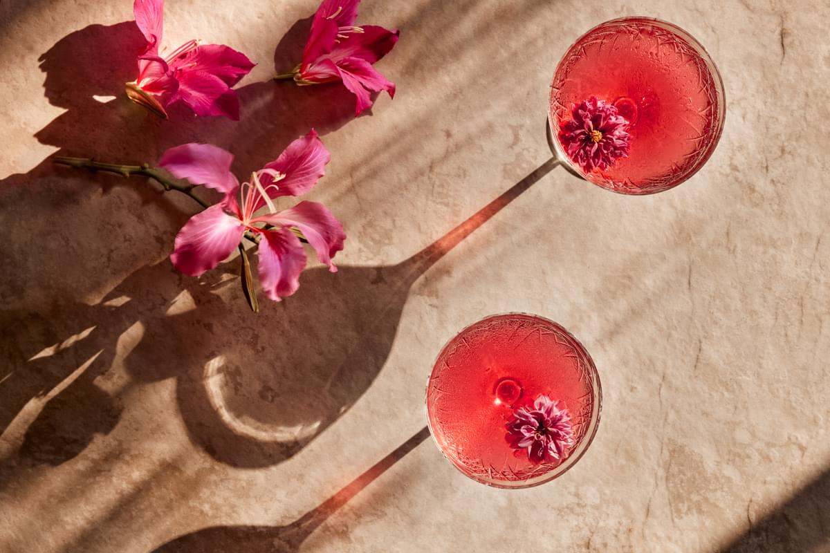Handcrafted cocktails at The Nautilus Maldives